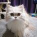 Lynn Whippey - Facebook