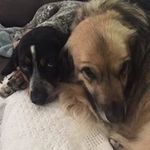 Lyn Whitehurst - @jonandcelynn - Instagram