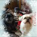 Lynn Whitehurst - Facebook