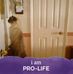 Lynn Wilburn - Facebook