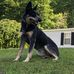 Lynn Wilburn - Facebook