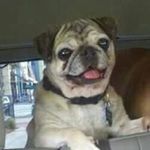 Lynn Wilkins - @yinneygirl71 - Instagram