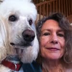 Lynn Wilkins - @lynnwilkins4984 - Instagram