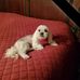 Lynn Wilkinson - Facebook