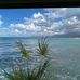 Lynne Willoughby - Facebook