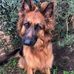 Lynne Willoughby - Facebook