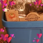 Miranda Lynn Willoughby - @panda_27_ - Instagram