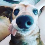 Jaelynn Wimmer - @wimmerjaelynn - Instagram