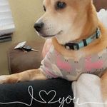 Tammy Lynn Windsor - @tammywindsor24 - Instagram