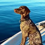 Lynn Winstead - @lynnwinstead55 - Instagram