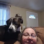 Lynn Wise - Facebook