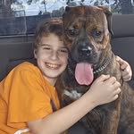 Amanda Lynn Witmer Presley - @amandapresley82 - Instagram