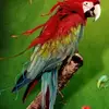 Lynn Witter - @lynn.witter - TikTok