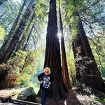 Lynn Korinek Wolff - @lwolff55 - Instagram