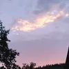 Lynn Wolff - @lynnwolff - TikTok