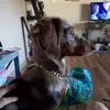Lynn Worley - @lynn.worley57 - TikTok