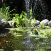Lynn Worrall - @lynn.worrall1 - TikTok