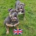 Lynn Worrall - Facebook