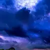 Lynn Wright - @lynn.wright149 - TikTok
