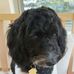 Lynn Wright - Facebook