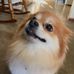 Lynn Wright - Facebook