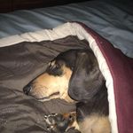 Lynn Wyss - @wysslynn - Instagram