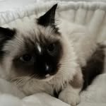 Lynn Youngson - @lynn.youngson - Instagram
