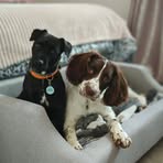 Lynne Youngs - Facebook