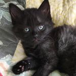 @_zeppy_lynn_ - Instagram