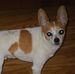Lynn Zepp - Facebook