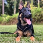 Zepplynn Grace - @girlzepplynn - Instagram
