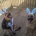 Lynn Zerbe - Facebook