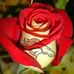 Lynna Spath-Johnson - Facebook