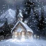 Lynn A. Williams - @lynnwilliams704 - Instagram