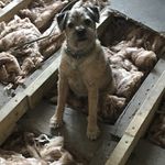 Lynn williams - @lynnwilliams8552 - Instagram
