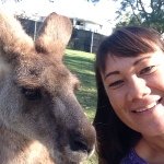 Lynn Williams Blomfield - @lynnnoelani - Instagram