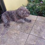 Lynna Williams - Facebook