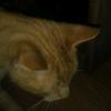 lynnae.williams06 - @lynnae.williams06 - TikTok
