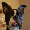 Lynn Abel - @lynn.abel - TikTok