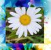 Lynne Bacon - Facebook