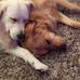 Lynne Bacon - Facebook