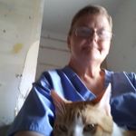 Lynn Baughman - @lynn.baughman.18 - Instagram