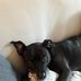 Lynne Belcher - Facebook