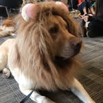 Lynn Bender - @cimaglio - Instagram