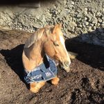 Lynn Berger - @lynn_l._berger - Instagram