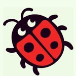 Lynne Bird - @lynnebird69 - Instagram