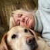 Lynne Bird - Facebook