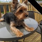 Lynne Bird - @lynnebird1953 - Instagram
