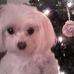 Lynne Blackwell - Facebook