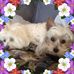 Lynne Bloom - Facebook